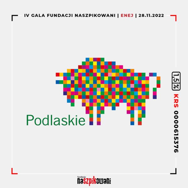2022-11-16-PODLASKIE-PARTNER-STRATEGICZNY-FB-IG