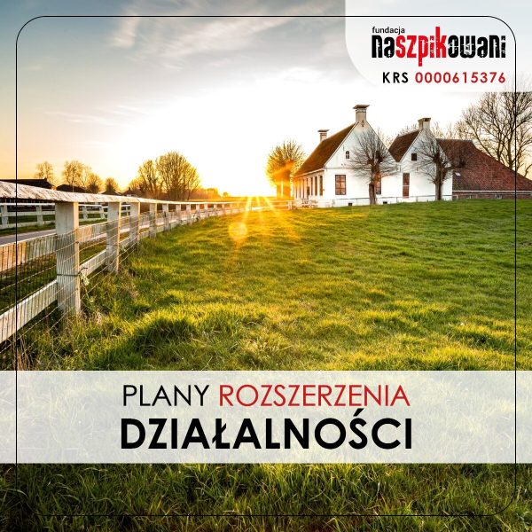 2025 01 21 PLANY ROZSZERZENIA DZIAŁALNOŚCI FB IG