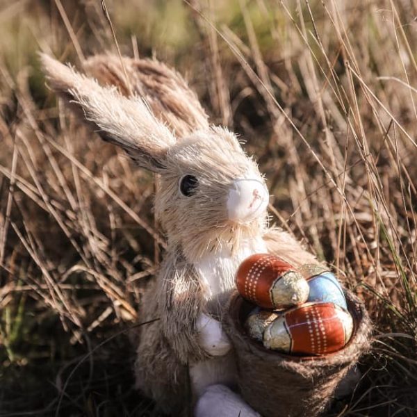 93089105_2661910193919299_723844281642516480_n